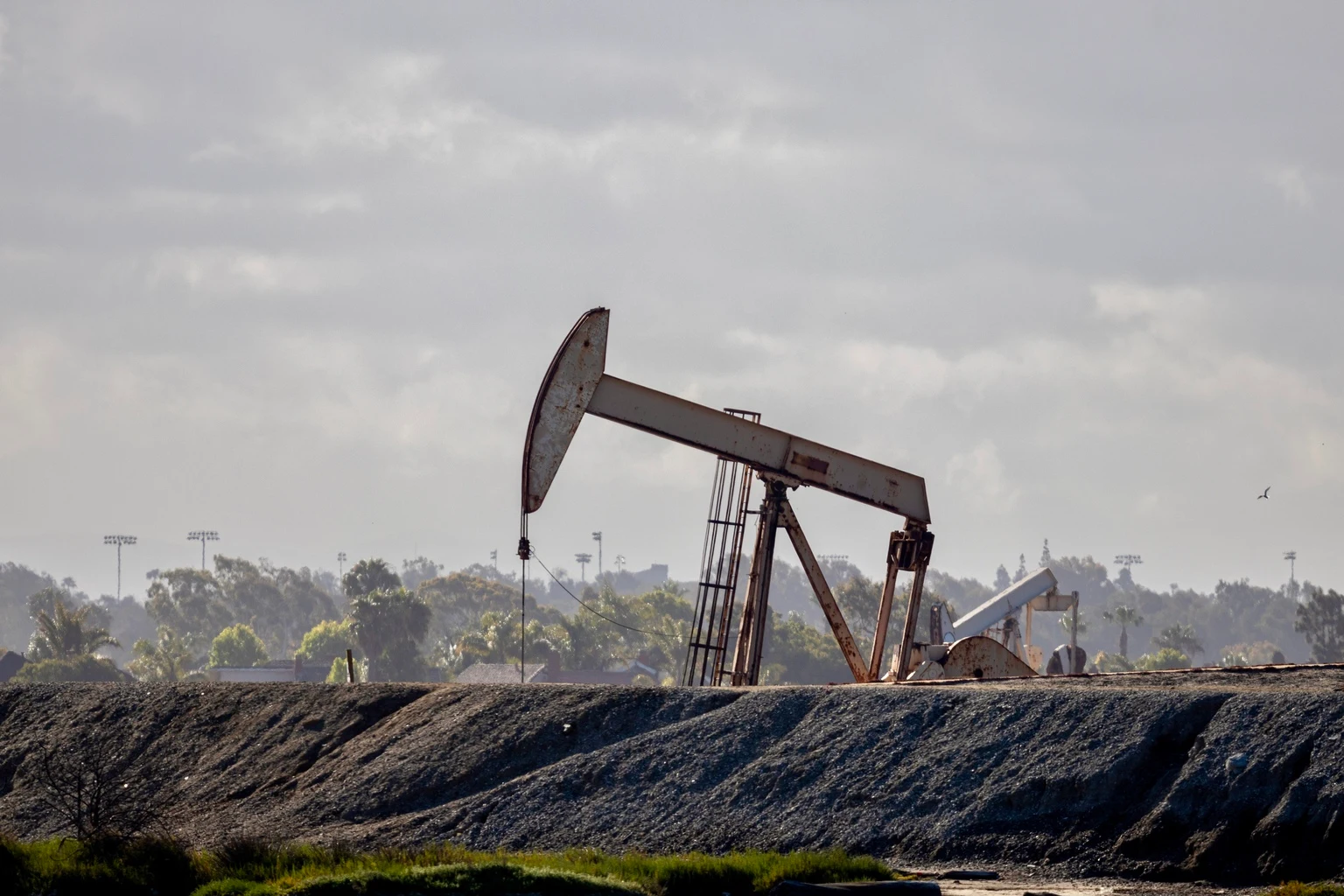 Peyto: The Outperformance Continues