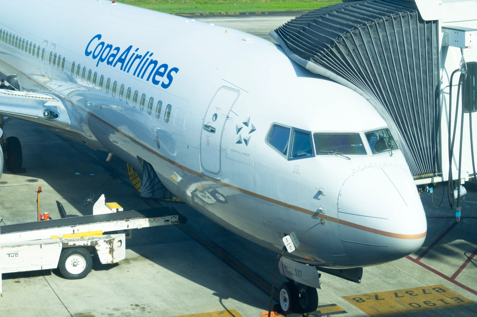 Copa: An Airline With Strong Q1 Results Despite Sector Headwinds (NYSE:CPA)