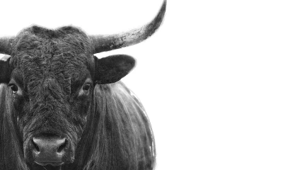 3 Elite Dividend Growth Stocks That Look Too Cheap To Ignore