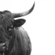 3 Elite Dividend Growth Stocks That Look Too Cheap To Ignore