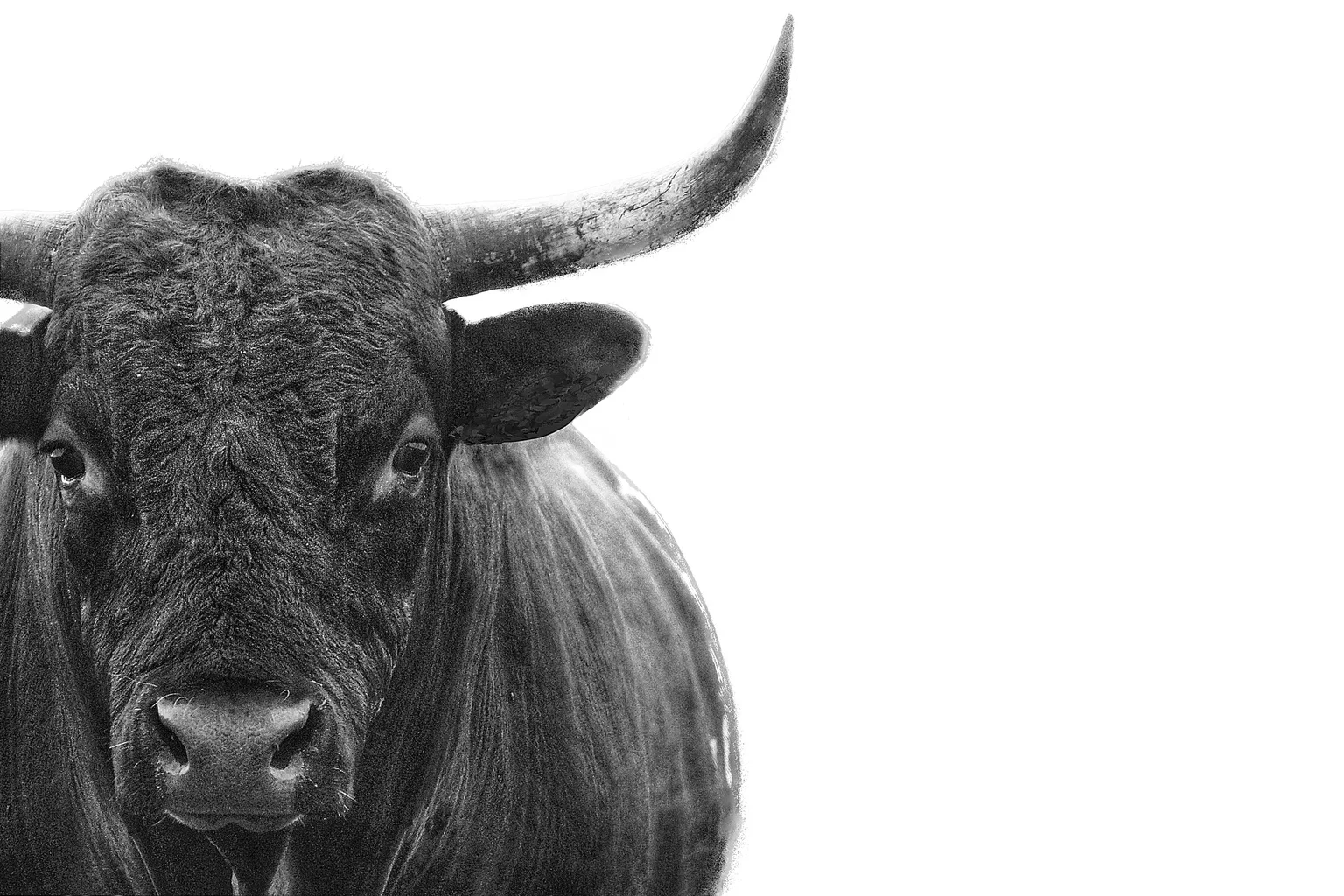 3 Elite Dividend Growth Stocks That Look Too Cheap To Ignore