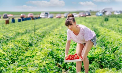 Federal Agricultural Mortgage (AGM): The 7% Yielding Preferred Stock Is A 'Strong Buy'
