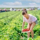 Federal Agricultural Mortgage (AGM): The 7% Yielding Preferred Stock Is A 'Strong Buy'