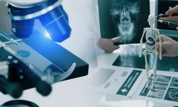 QuidelOrtho: A Growing, Stable Business With A Significant Mispricing