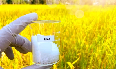 Adecoagro SA: Why This Stock Is My Top Commodity Pick For 2026 (NYSE:AGRO)