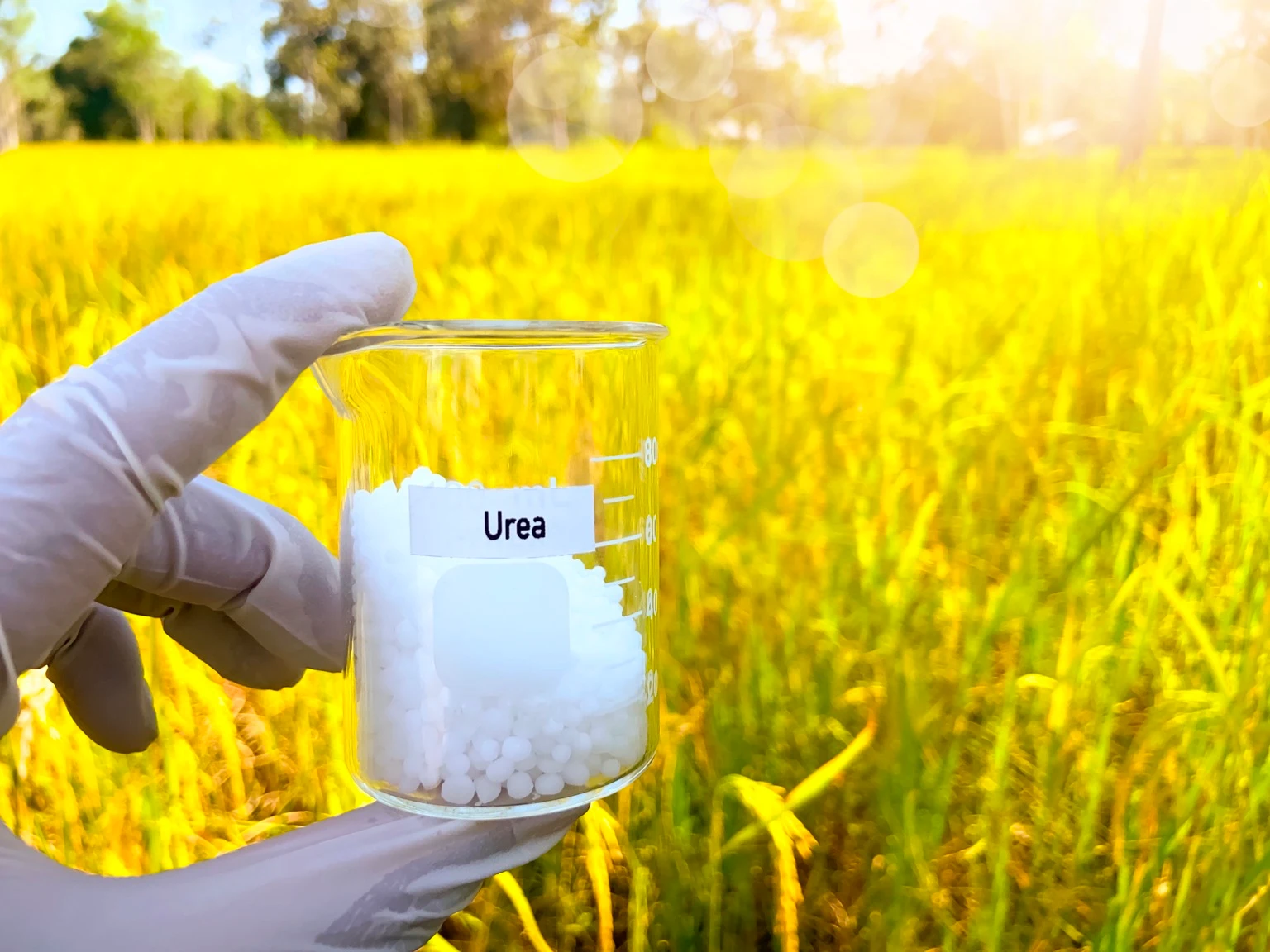 Adecoagro SA: Why This Stock Is My Top Commodity Pick For 2026 (NYSE:AGRO)