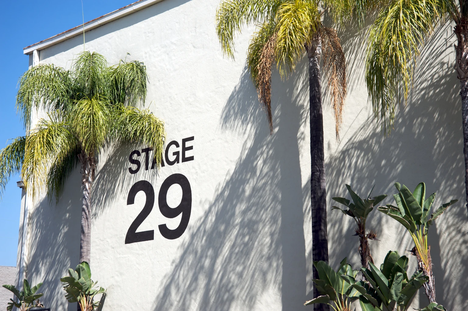 Lionsgate: Strong Quarter And Even Stronger Outlook - Remains A Top Takeout Candidate