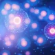 PTC Therapeutics: Sephience Turns The Story From Regulatory Repair To Operating Leverage
