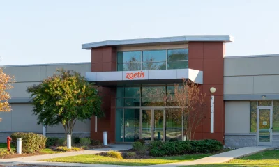 Zoetis Q1 Review: Is A Darkened Outlook Cyclical Or Structural? (Rating Downgrade)