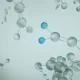 Dianthus Therapeutics: A Financed Autoimmune Platform With More Than One Way To Win (NASDAQ:DNTH)