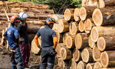 Weyerhaeuser: An End To The Downturn Is In Sight (Rating Upgrade)