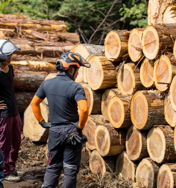 Weyerhaeuser: An End To The Downturn Is In Sight (Rating Upgrade)