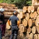 Weyerhaeuser: An End To The Downturn Is In Sight (Rating Upgrade)