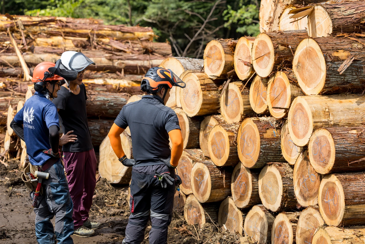 Weyerhaeuser: An End To The Downturn Is In Sight (Rating Upgrade)
