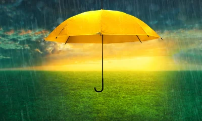 Waterdrop: A Mix Of Positives And Negatives