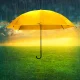Waterdrop: A Mix Of Positives And Negatives