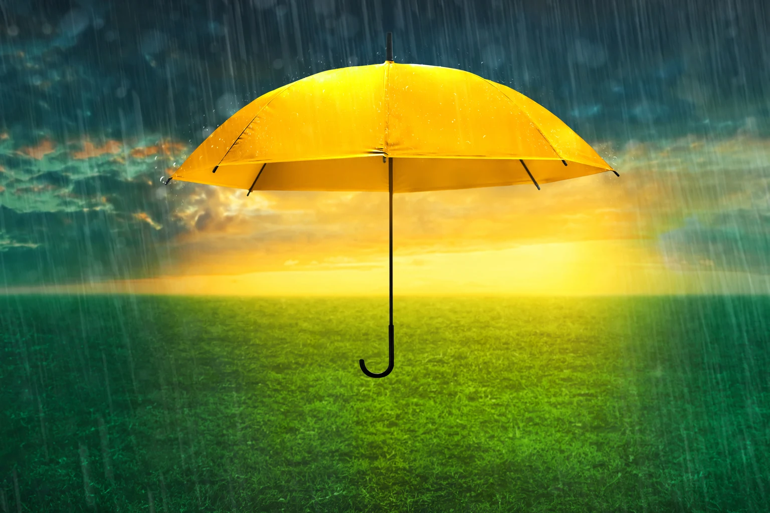 Waterdrop: A Mix Of Positives And Negatives