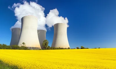 NUKZ: Nuclear Stocks Consolidating As The AI Revolution Rolls On (NYSEARCA:NUKZ)