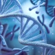 Merck: 'Strong Buy' - Terns Acquisition And Ability To Counter Keytruda Patent Loss