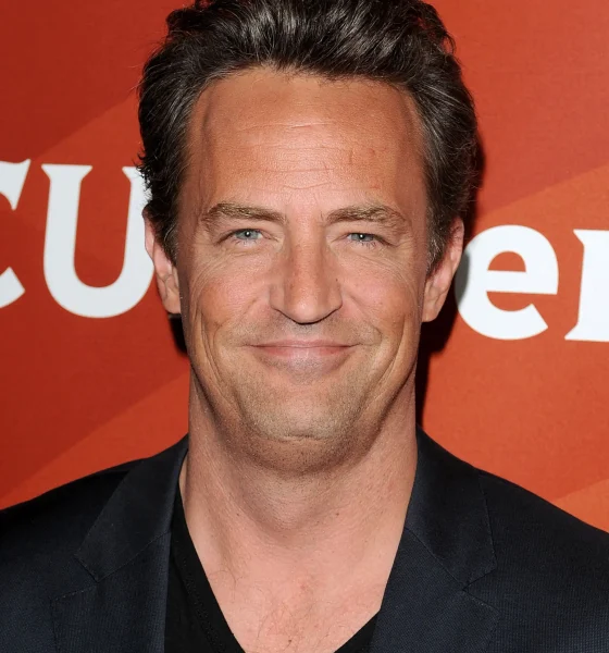 Matthew Perry smiling