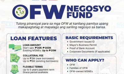 owwa ofw negosyo fund