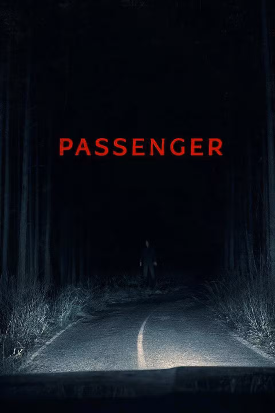 passenger-poster.jpg