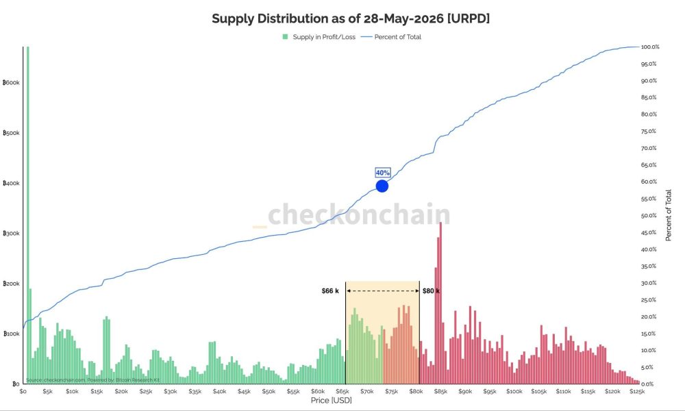 Bitcoin Whales and Dolphins Signal Bear Market