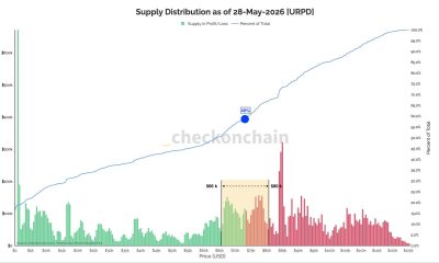 Bitcoin Whales and Dolphins Signal Bear Market