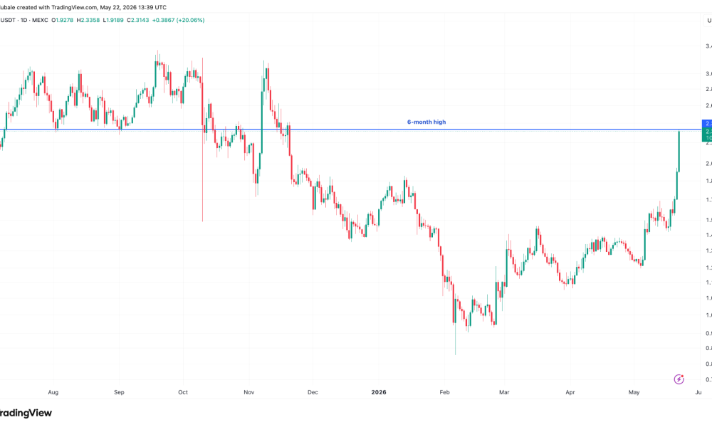 Near Leads AI Token Rally With 50% Surge as $5 Price Target Emerges
