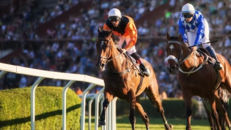 St Leger at 250: don’t bet against British racing