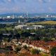 Portsmouth’s green spaces could be triggering hay fever symptoms, experts warn