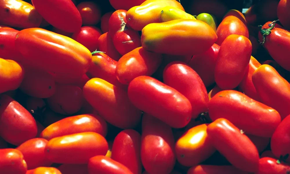 Cento Fine Foods sued over alleged San Marzano 'tomato fraud'