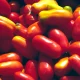 Cento Fine Foods sued over alleged San Marzano 'tomato fraud'