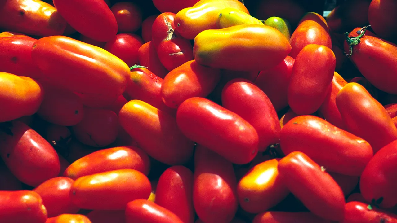 Cento Fine Foods sued over alleged San Marzano 'tomato fraud'