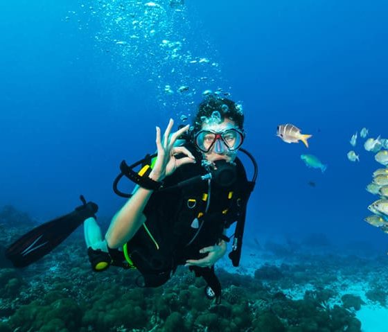 Beyond the Reef - What Komodo's Diving Economy Teaches Hotels and Resorts About High-Value Hospitality