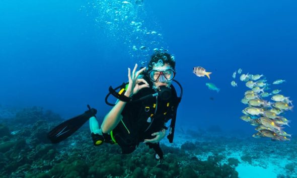 Beyond the Reef - What Komodo's Diving Economy Teaches Hotels and Resorts About High-Value Hospitality