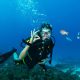 Beyond the Reef - What Komodo's Diving Economy Teaches Hotels and Resorts About High-Value Hospitality