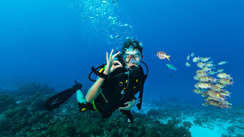 Beyond the Reef - What Komodo's Diving Economy Teaches Hotels and Resorts About High-Value Hospitality