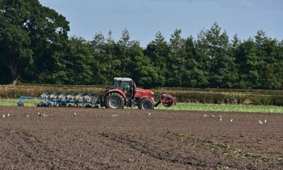 Hauliers, Hotels & Farms in Survival Mode as Fuel Costs Soar