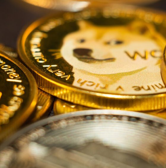 Meme coins started as internet jokes but have turned into a real force in crypto. While some still see them as nothing more than social media-fueled gambles, others recognize a shift toward real-world applications.