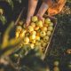 Global Food Prices Rise for Third Month Running | Iran Crisis Drives UK SME Costs
