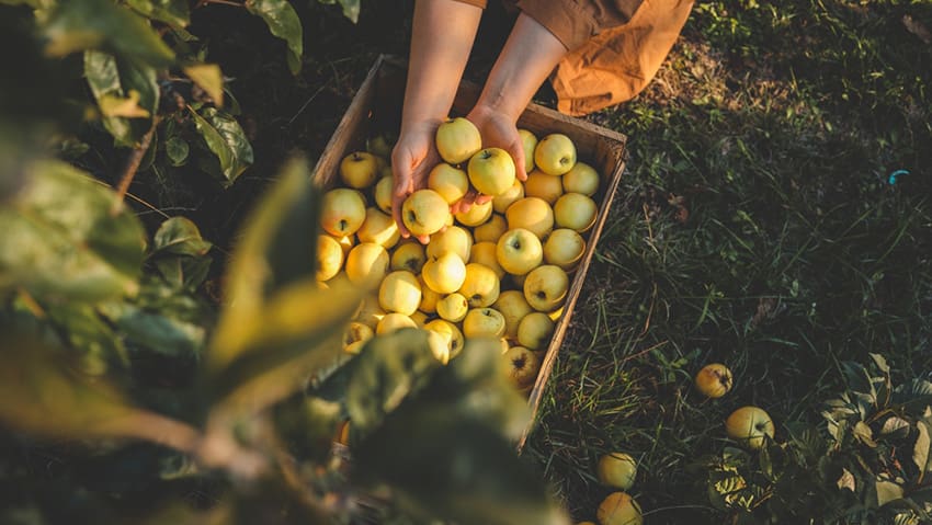 Global Food Prices Rise for Third Month Running | Iran Crisis Drives UK SME Costs