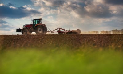Russia’s grip on the fertiliser market is being felt by British farmers who face sharply rising prices that are expected to have a big effect on the supply chain and push up the cost of groceries.