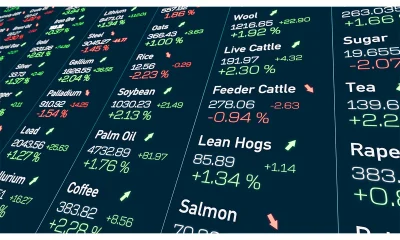 Soybean oil futures rally fueled by robust demand