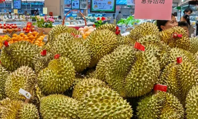 Thai Durian Soars in Popularity Across China During Harvest Time