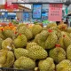 Thai Durian Soars in Popularity Across China During Harvest Time