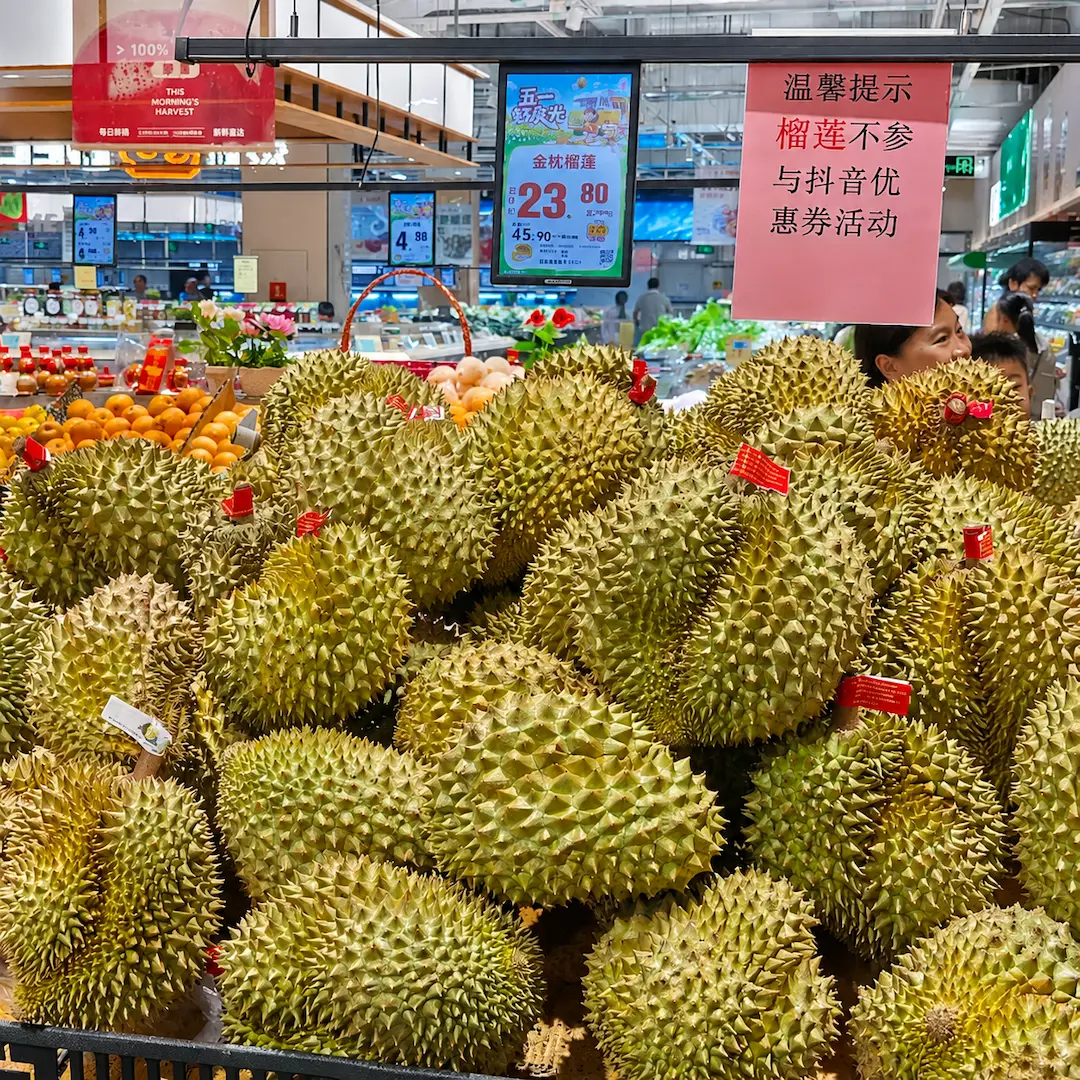 Thai Durian Soars in Popularity Across China During Harvest Time