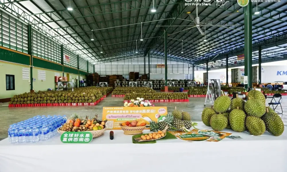 Thai Fruit Festival Strengthens Durian Presence in China