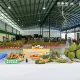 Thai Fruit Festival Strengthens Durian Presence in China