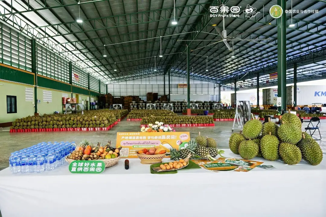 Thai Fruit Festival Strengthens Durian Presence in China